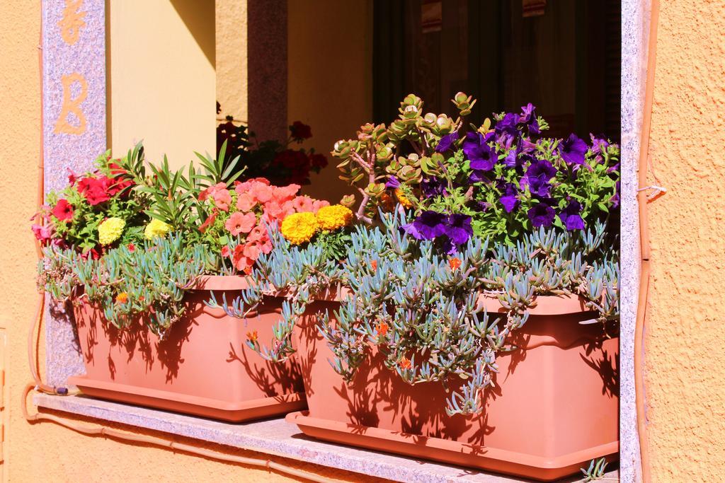 B&B La Pianedda Castelsardo Ngoại thất bức ảnh